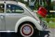 small-car