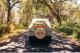 small-car