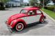 small-car