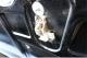 small-car