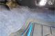 small-car