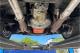 small-car