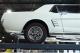 small-car